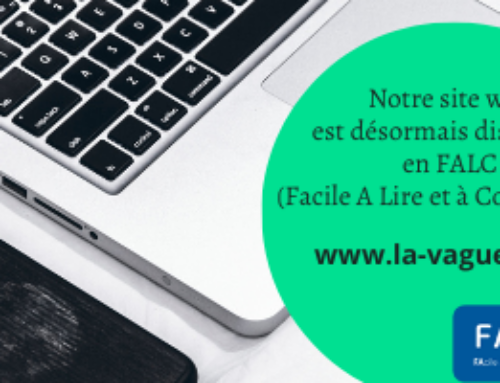 Notre site web disponible en FALC (FAcile à Lire et à Comprendre)